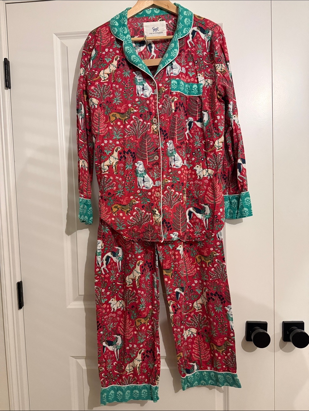Printfresh Holiday Dog Print Flannel Pajama Set with Teal Trim Small Tall ST